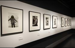 Vexel frames - installation view at Museum Of Sydney